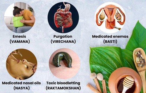 whatsapp image 2026 01 01 at 12.49.33 pm